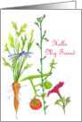 Hello My Friend Garden Vegetable Drawing Dragonfly Tomato card