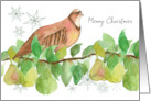 Merry Christmas Partridge in a Pear Tree Snowflakes card