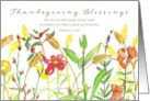 Thanksgiving Blessings Scripture Philippians Fall Flowers card