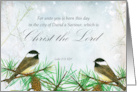 Merry Christmas Luke Bible Scripture Chickadees card