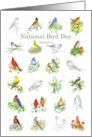 National Bird Day January 5 Bluebird Watercolor Flowers card