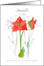 Encouragement Amaryllis Language of Flowers card