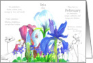 February Birthday Flower Iris Violets Language of Flowers card
