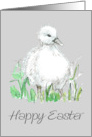 Happy Easter Cygnet Baby Swan Bird Wildlife card