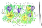 Thinking of You at Easter Spring Crocus Flowers card