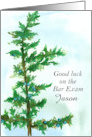 Good Luck Bar Exam Juniper Tree Custom Name card
