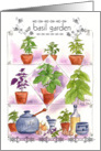 Basil Herbal Pesto Kitchen Garden Note Card