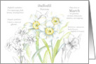 March Birthday Flower Daffodils Language of Flowers card