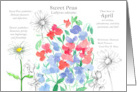 April Birthday Flower Sweet Pea Daisy Language of Flowers card