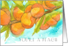 Thank You Hospital Visit You’re A Peach Fruit Tree card