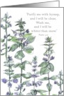 Hyssop Herb Scripture Psalm 51 Bible Plants Blank card