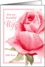 Wife Happy Birthday Single Pink Rosebud Watercolor Floral Art card