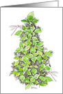 Basil Plant Kitchen Herbs Dragonflies Blank card