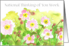 National Thinking of You Week September Primrose Flower card