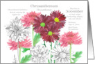 November Birthday Flower Chrysanthemum Birth Month card