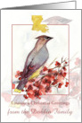 Louisiana Christmas Greetings Cedar Waxwing Bird Custom card