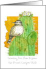 Sending Love from Arizona Saguaro Cactus Wren Custom card