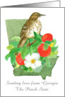 Sending Love Georgia Peach Bird Cherokee Rose Custom card