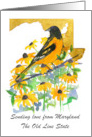 Sending Love from Maryland Baltimore Oriole Custom card
