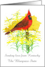 Sending Love from Kentucky Cardinal Goldenrod Custom card