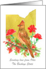 Sending Love Ohio Cardinal Bird Red Carnation Custom card