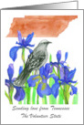 Sending Love Tennessee Mockingbird Iris Flower Custom card