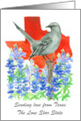 Sending Love Texas Mockingbird Bluebonnet Flower Custom card