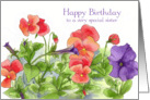 Happy Birthday Special Sister Purple Petunia Red Pansy Flowers card