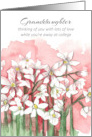 Happy Valentine’s Day Granddaughter At College Flowers card