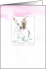 Thank You Puppy Dog Boston Terrier Pink Watercolor card