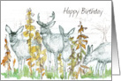 Happy Birthday Deer Hunter Wildlife Trees card