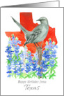 Happy Birthday from Texas Mockingbird Bluebonnets card