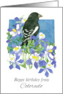 Happy Birthday from Colorado Lark Bunting Columbines card