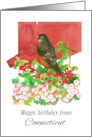 Happy Birthday from Connecticut Robin Mountain Laurel card