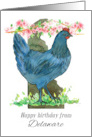 Happy Birthday from Delaware Blue Hen Chicken card