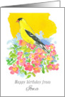 Happy Birthday from Iowa Goldfinch Wild Roses card