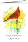 Happy Birthday from Kentucky Cardinal Goldenrod card