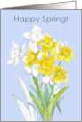 Happy Spring Daffodil Yellow Flower Garden card