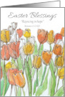 Easter Blessings Hope Romans Scripture Tulips card