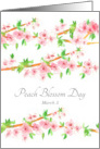 Peach Blossom Day March 3 Pink Flowers card