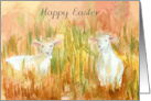 Happy Easter Spring Lambs Farm Pasture Field Spatter card