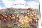 Happy Birthday Wild and Free Hiking Trail Flowers card