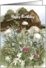 Happy Birthday Ocean Thistle Wildflowers Sea Cliff card