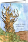 Happy Birthday Future Son in Law Bristlecone Pine Custom card