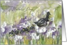 Happy Mother’s Day Duck Ducklings Baby Bird Flowers card