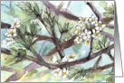Happy Mother’s Day God Bless You Spring Tree Flowers card