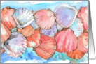 Seashells Clam Shell Ocean Beach Spatter Blank card