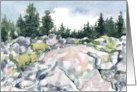 Happy Birthday Favorite Guy Rock Climbing Forest card