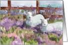 Happy Birthday Religious Lambs Lavender Field card