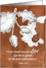 Happy Thanksgiving Psalm 136 Scripture Acorns Oak card
